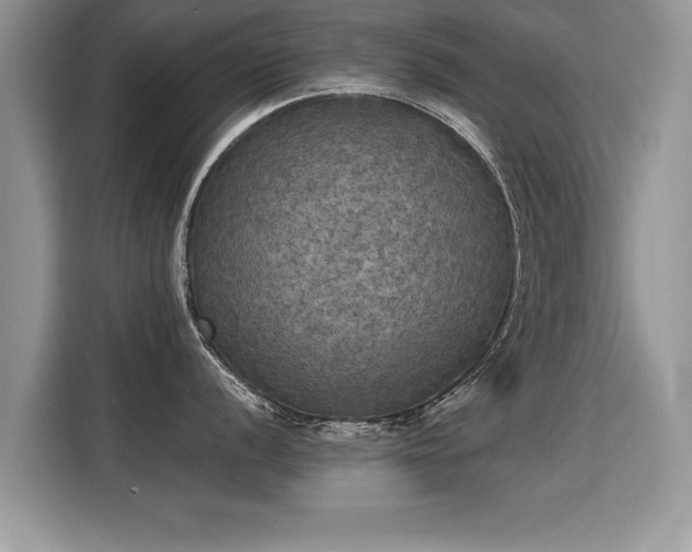 X0000115311056200911091133