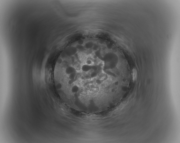 X0000115311059200911091132