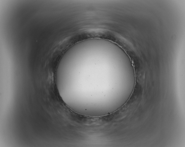 X0000115311061200911091132
