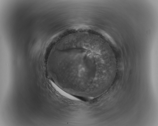 X0000115311063200911091132
