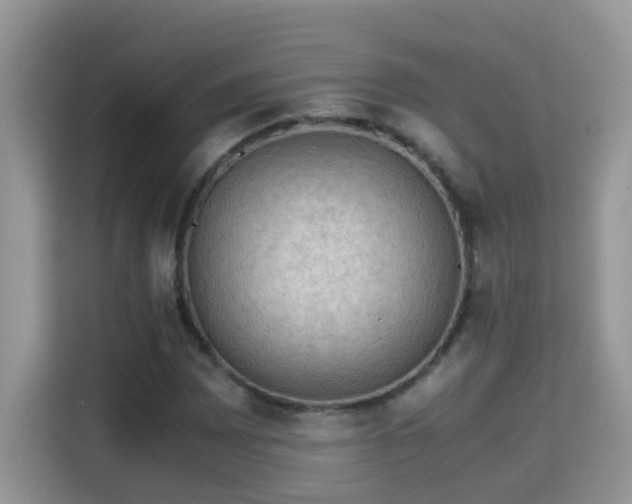 X0000115311065200911091132