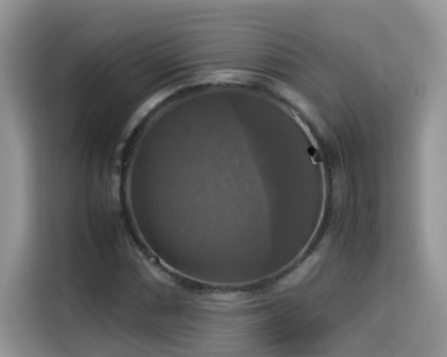 X0000115311066200911091132