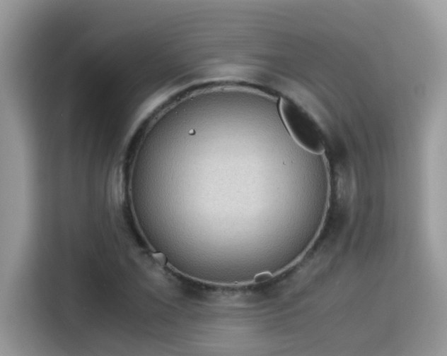 X0000115311069200911091132