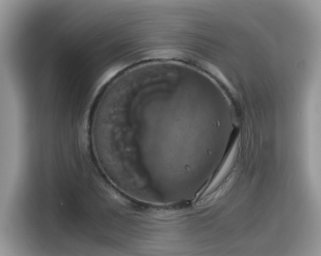X0000115311071200911091132