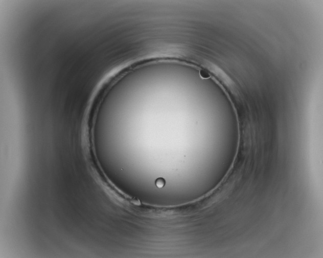 X0000115311072200911091132