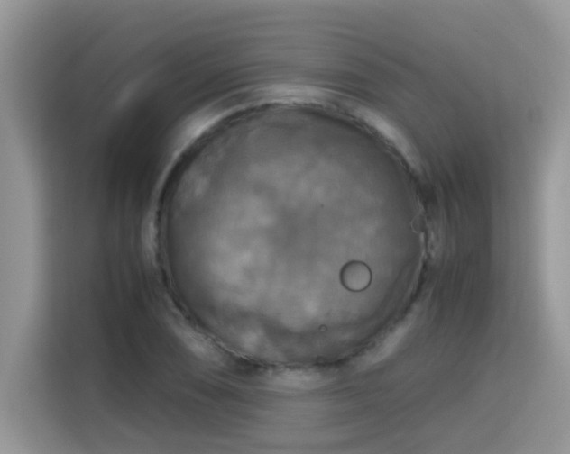 X0000115311074200911091132