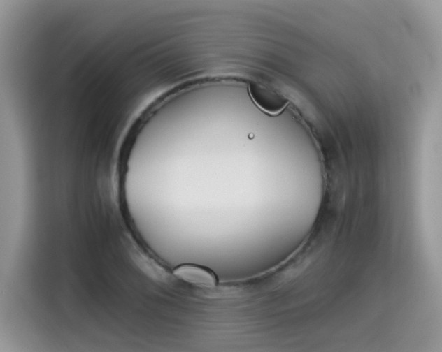 X0000115311076200911091132
