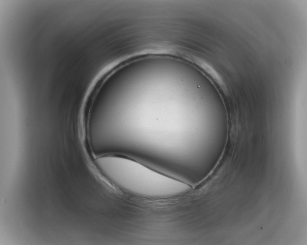 X0000115311080200911091132