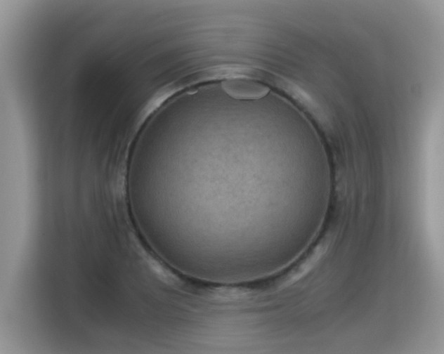 X0000115311081200911091132