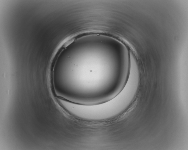 X0000115311085200911091132