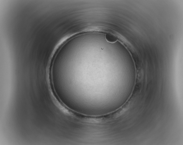 X0000115311086200911091132