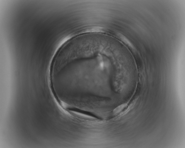 X0000115311087200911091132