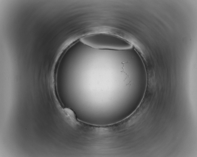 X0000115311088200911091132