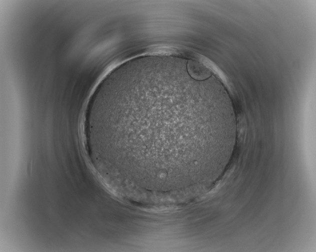 X0000115311091200911091132