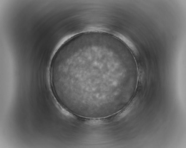 X0000115311094200911091132