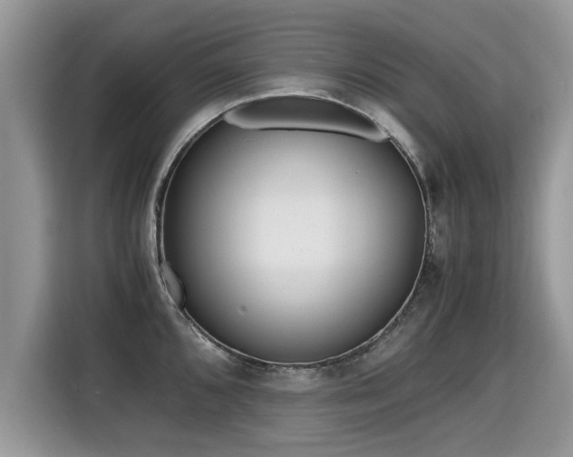 X0000115311096200911091132