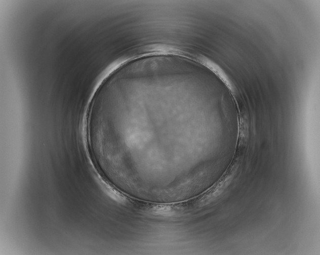 X0000115311098200911091132