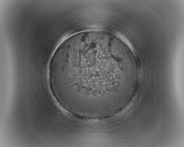 X0000115311099200911091132