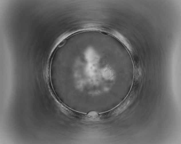 X0000115311101200911091132