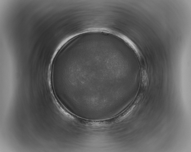 X0000115311102200911091132