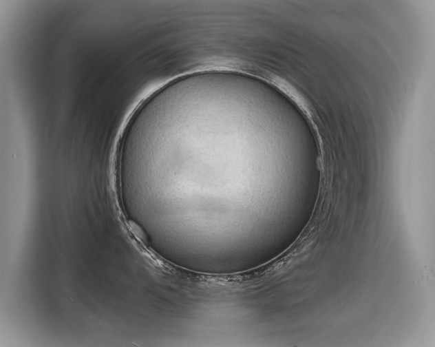 X0000115311104200911091132