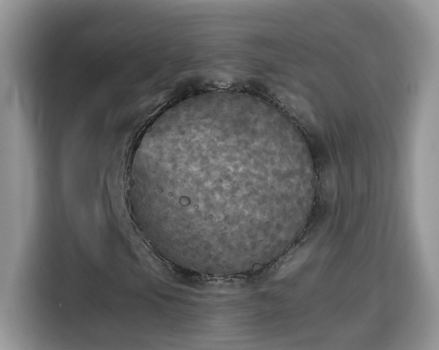 X0000115311105200911091131