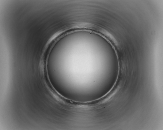 X0000115311114200911091131