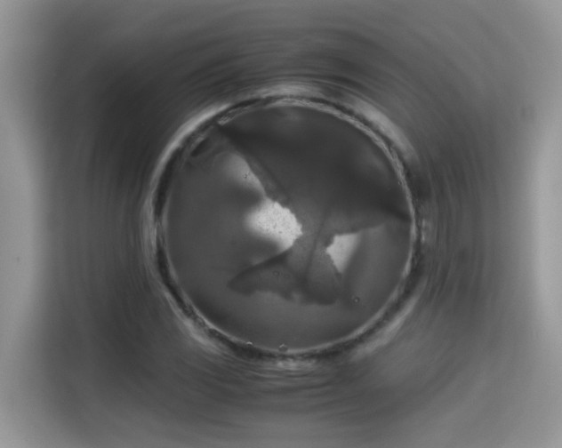 X0000115311117200911091131