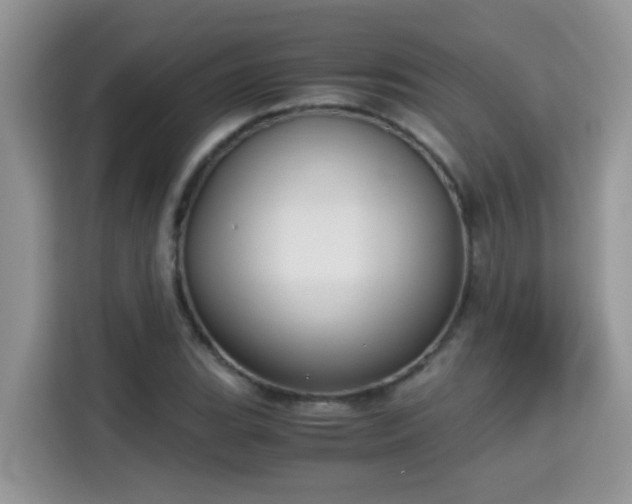 X0000115311119200911091131