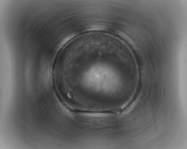 X0000115311121200911091131