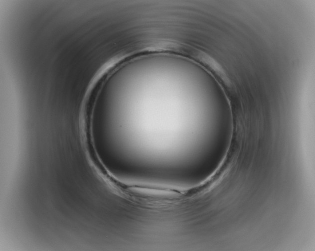 X0000115311122200911091131