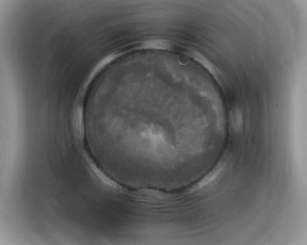 X0000115311123200911091131