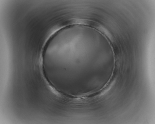 X0000115311125200911091131