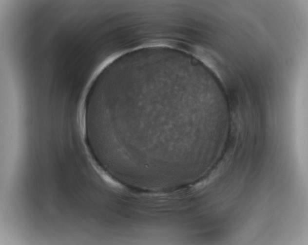 X0000115311127200911091131