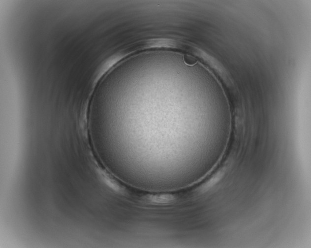 X0000115311129200911091131