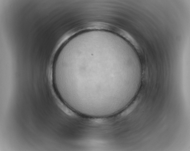 X0000115311130200911091131
