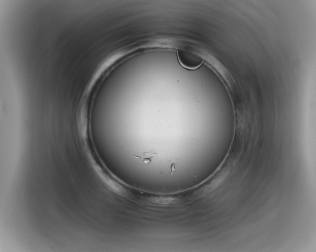 X0000115311131200911091131