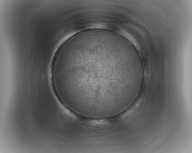 X0000115311133200911091131