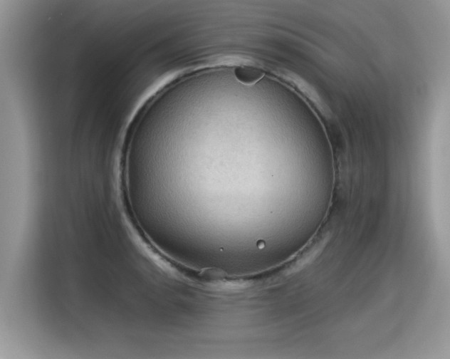 X0000115311134200911091131