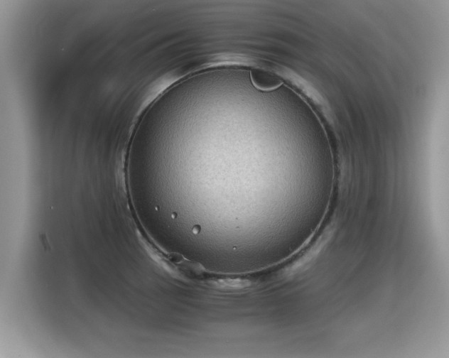 X0000115311137200911091131