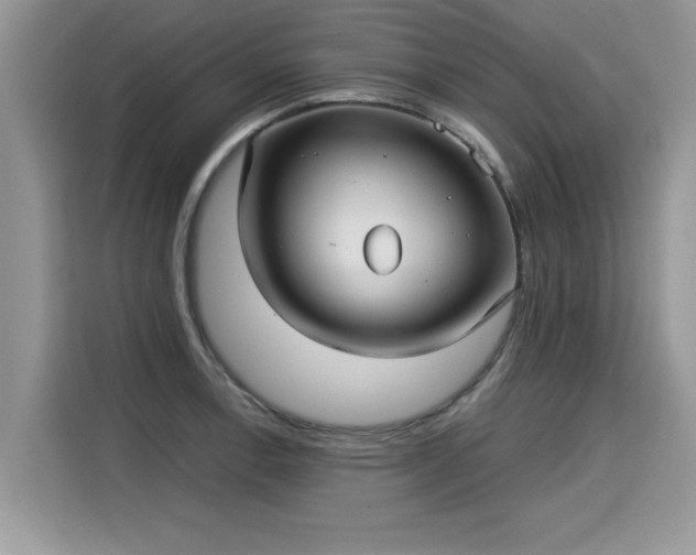 X0000115311138200911091131