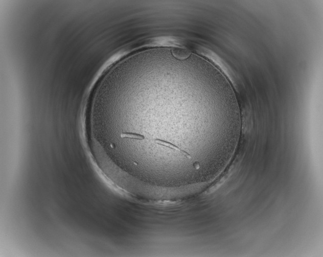 X0000115311139200911091131