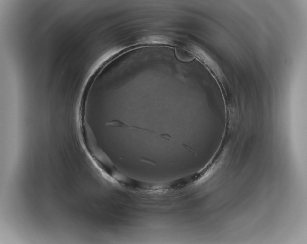 X0000115311141200911091131
