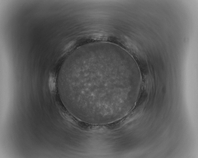 X0000115311154200911091131