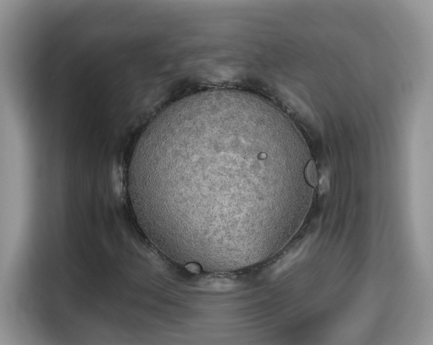 X0000115311156200911091131