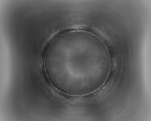 X0000115311158200911091131