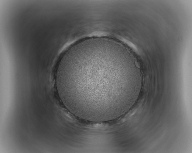 X0000115311160200911091131