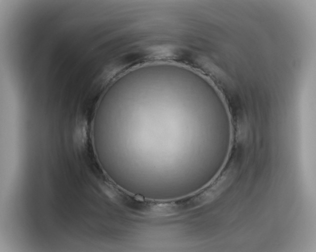X0000115311161200911091131