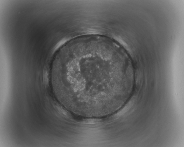 X0000115311163200911091131