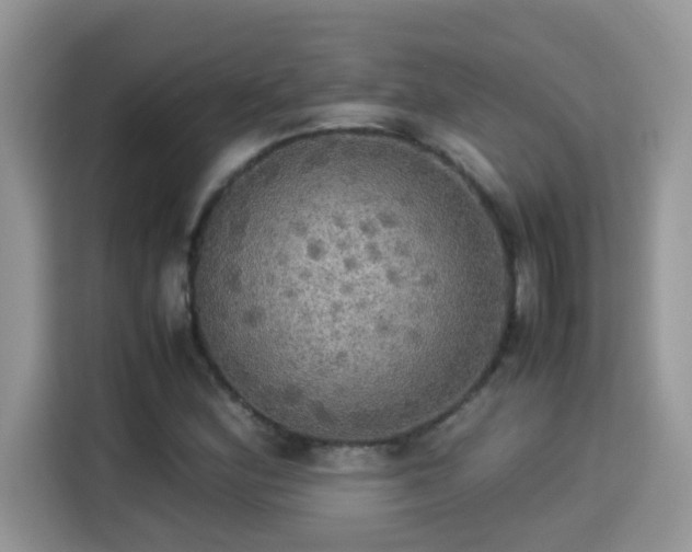 X0000115311164200911091131